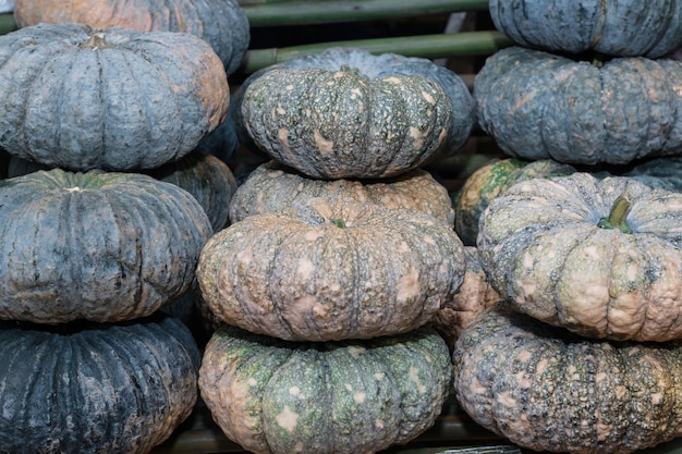 calabaza verde fresca del jardín