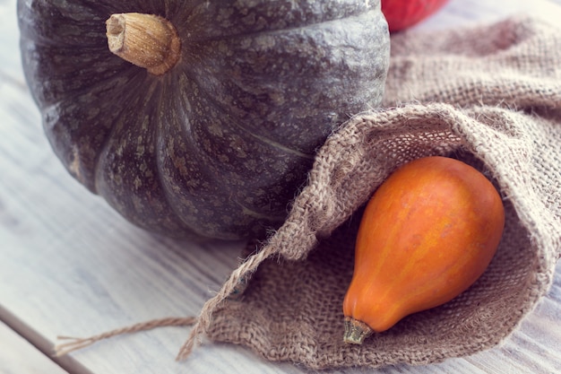 Calabaza verde y naranja en una bolsa de arpillera