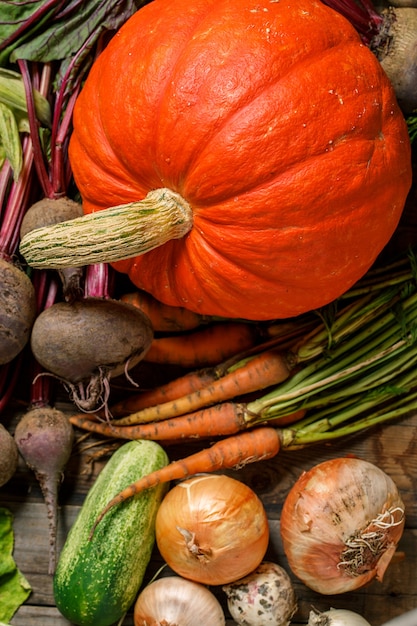 Calabaza y verduras de cosecha.