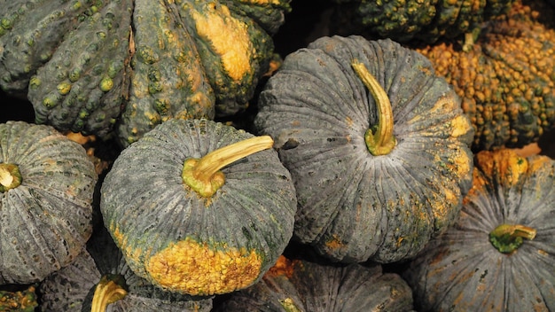 calabaza