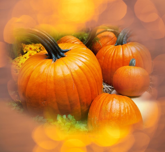 Calabaza