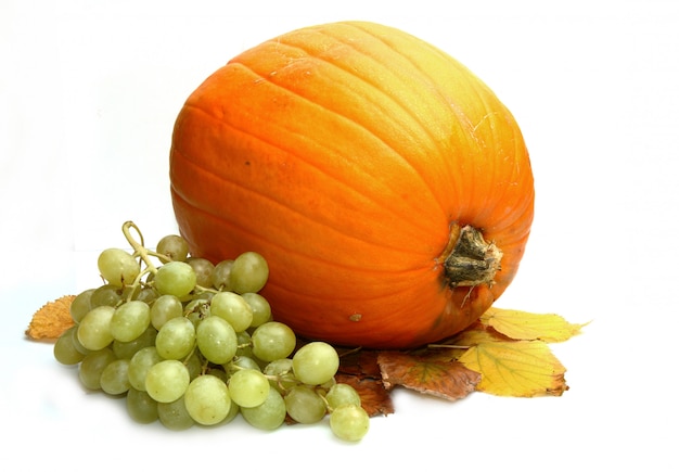 Calabaza