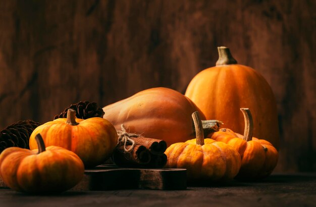 Calabazas de Acción de Gracias, canela y conos de pino sobre fondo de mesa de madera rústica, concepto de Festival de Acción de Gracias o cosecha de otoño