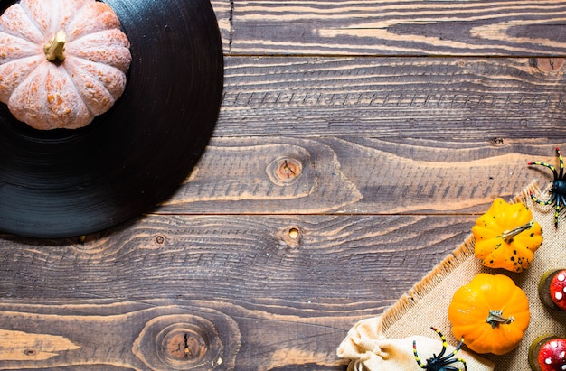 Calabazas de acción de gracias, sobre fondo de madera