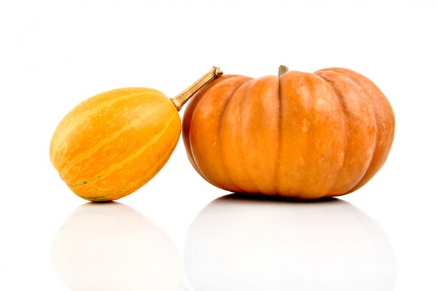 calabazas aisladas en blanco