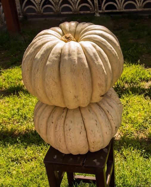 Foto calabazas apiladas esperando ser usadas para comer