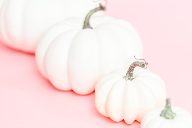 Calabazas artesanales blancas de diferentes tamaños sobre un fondo rosa.