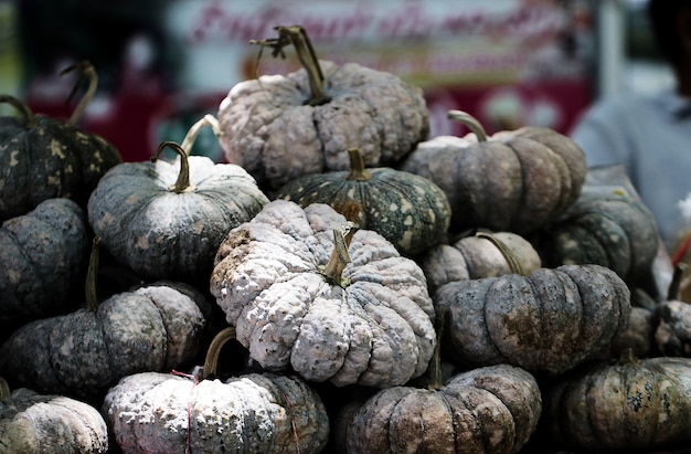 Calabazas asiáticas crudas frescas