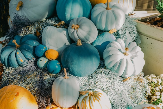 Calabazas azules y naranjas decorativas, flores al aire libre y exterior de fachada de decoración de Halloween al aire libre