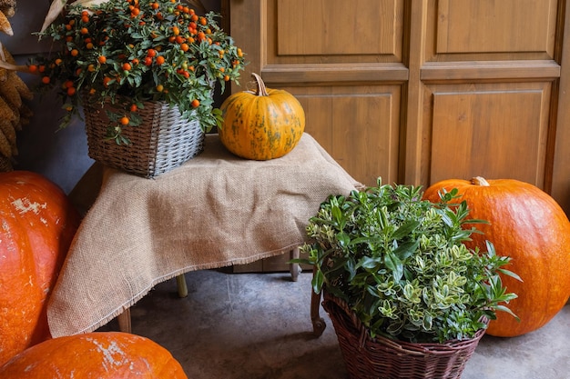 Calabazas bayas rojas y decoración de flores de otoño en cestas en el porche