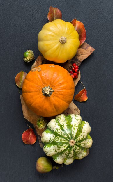 Calabazas, bellotas, hojas y bayas, vista superior