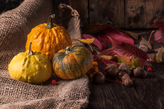 Calabazas con bellotas y hojas