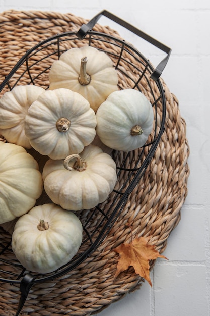 Calabazas blancas y hojas de otoño.