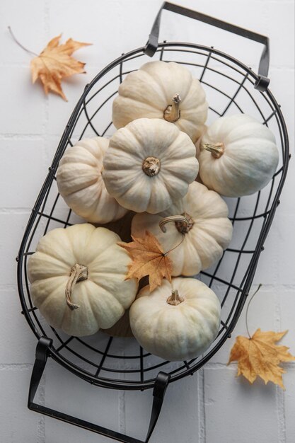 Calabazas blancas y hojas de otoño.