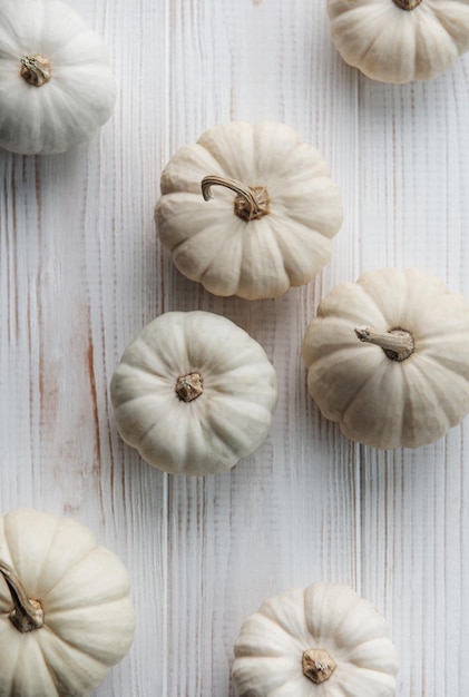 Calabazas blancas sobre un fondo de madera blanca