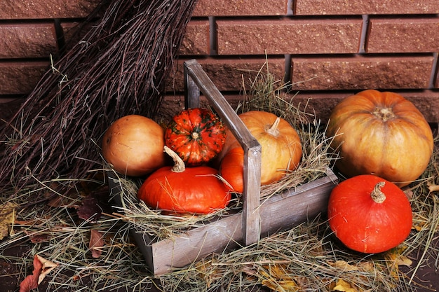 Calabazas en caja de madera en el suelo sobre fondo de pared de ladrillo