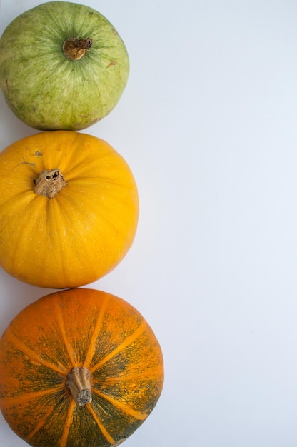 Calabazas de colores amarillo, naranja y verde sobre un fondo blanco.