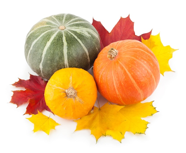 Calabazas de colores con hojas de otoño