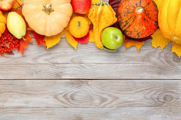 Calabazas con coloridas hojas de arce, manzanas maduras, ashberry y pera sobre fondo de madera. Imagen estacional de acción de gracias de otoño con espacio libre para el texto.