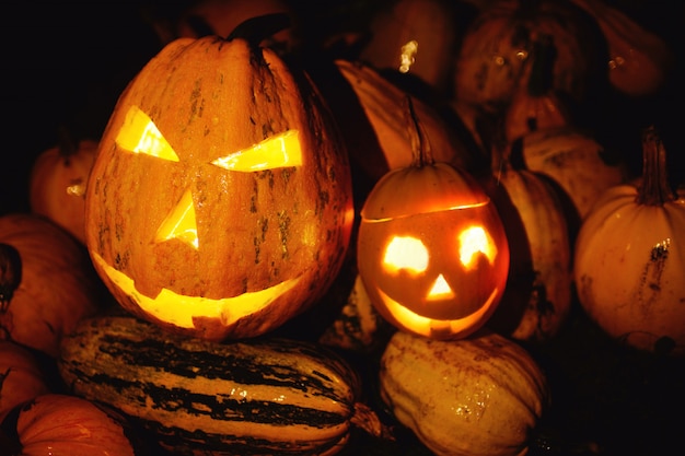 Calabazas contra el fondo de hierba verde