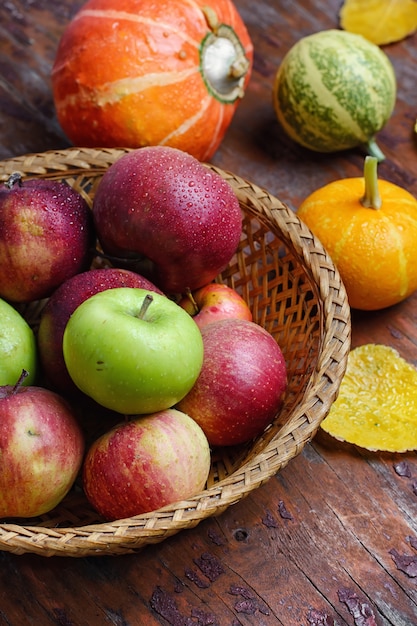 Calabazas de cosecha de otoño