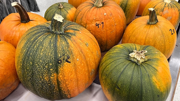 Calabazas de halloween. Mercado Calabaza. Calabazas naranjas. Frutas e verduras. del Campo