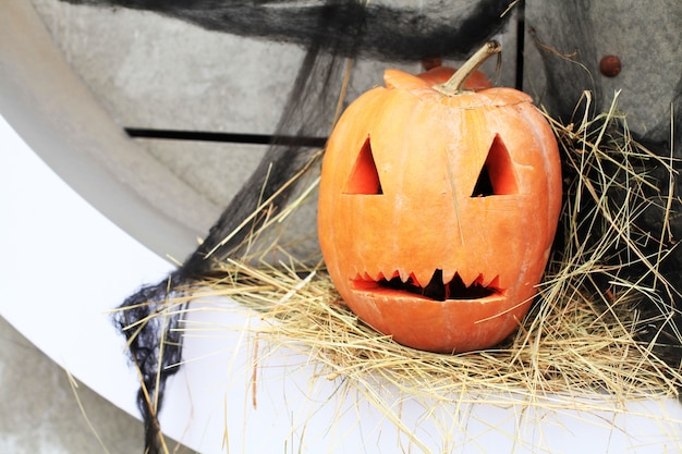 Calabazas. decoración para halloween