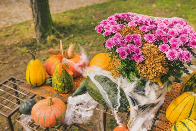 Calabazas Decoración de jardín de Halloween con telaraña de flores de crisantemo de otoño y conos de pino