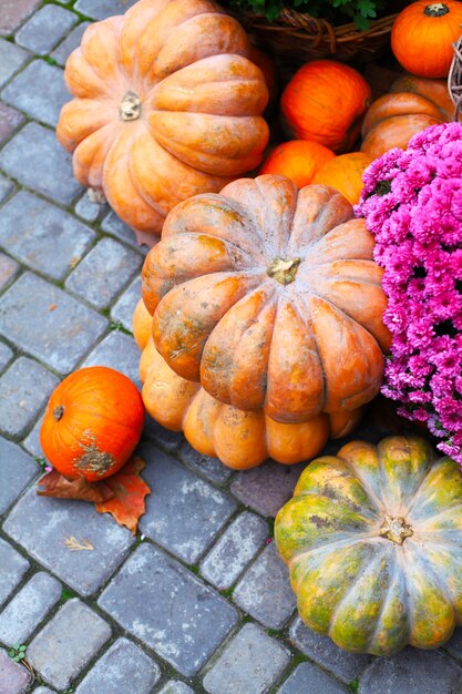 Calabazas. decoración para la temporada de otoño