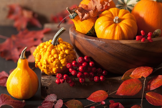 Calabazas decorativas y hojas de otoño para halloween