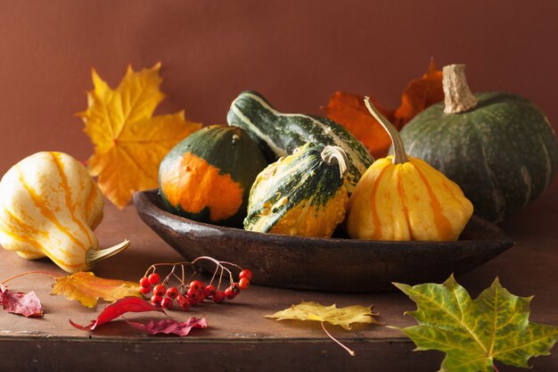 Calabazas decorativas y hojas de otoño para halloween