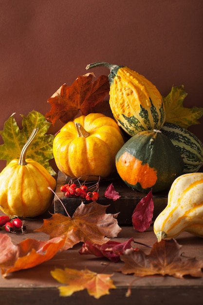 Calabazas decorativas y hojas de otoño para halloween