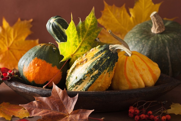 Calabazas decorativas y hojas de otoño