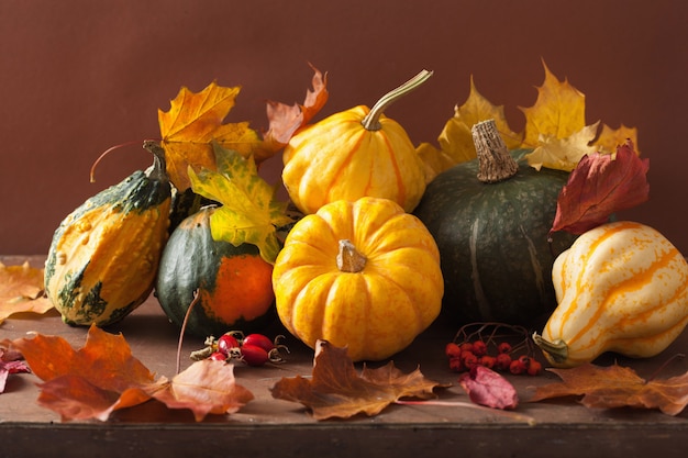 Calabazas decorativas y hojas de otoño