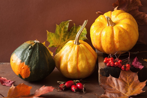 Calabazas decorativas y hojas de otoño