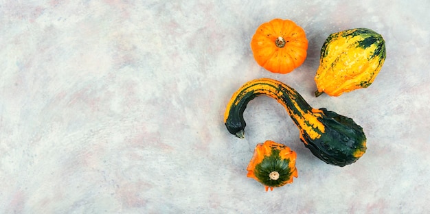 Foto calabazas decorativas de otoño fondo de otoño con espacio de copia de calabazas