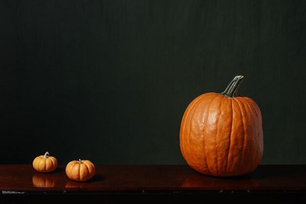 calabazas diferentes para la decoración de halloween. Bodegón sobre un fondo oscuro.