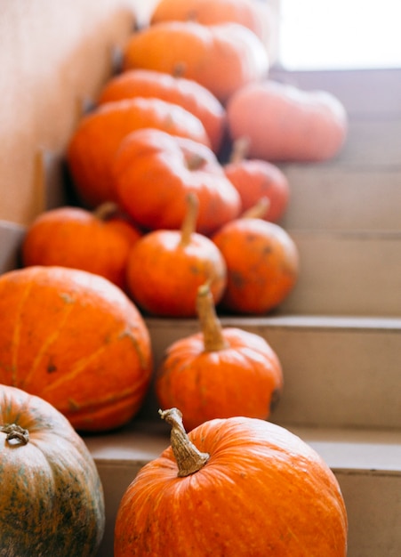 calabazas en las escaleras concepto de halloween