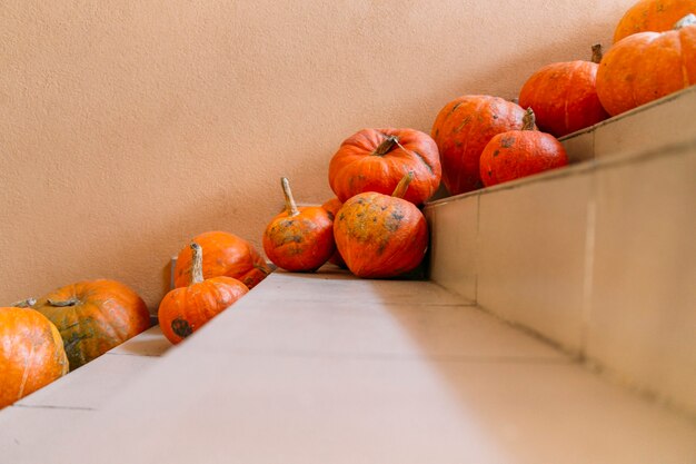 calabazas en las escaleras concepto de halloween