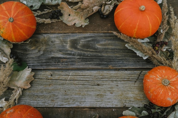 Calabazas en el espacio de copia de fondo de madera Concepto de otoño del día de acción de gracias