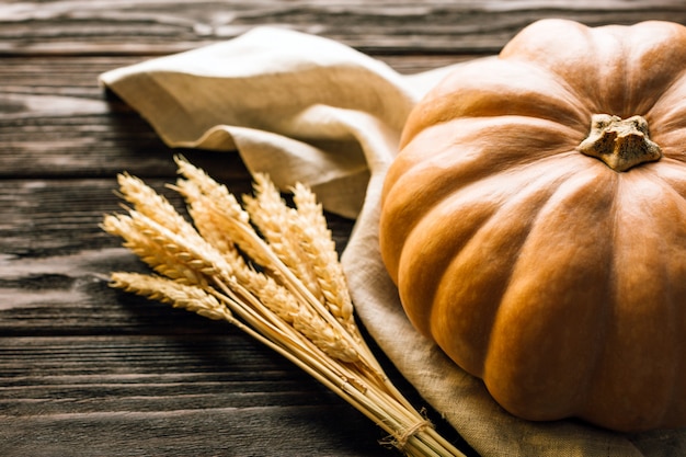 Calabazas y espigas en una superficie de madera