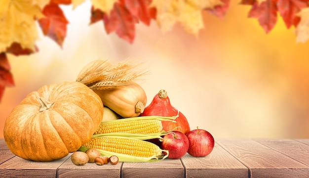 Calabazas espiguillas de trigo maíz manzanas y nueces en la mesa sobre un fondo de otoño