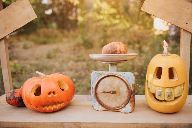 Calabazas fantasma en Halloween