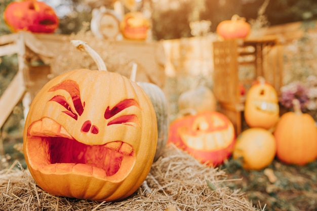 Calabazas fantasma sobre fondo de Halloween