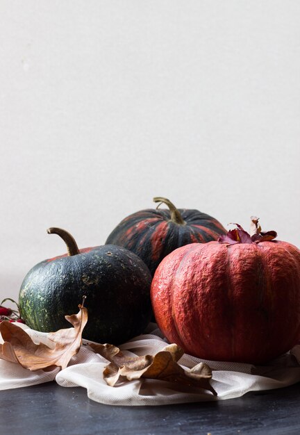 calabazas en follaje otoñal en una pared de luz