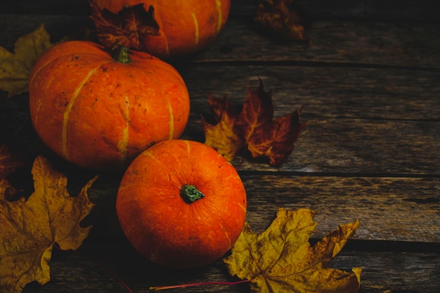 Calabazas y follaje de otoño caído fondo de madera