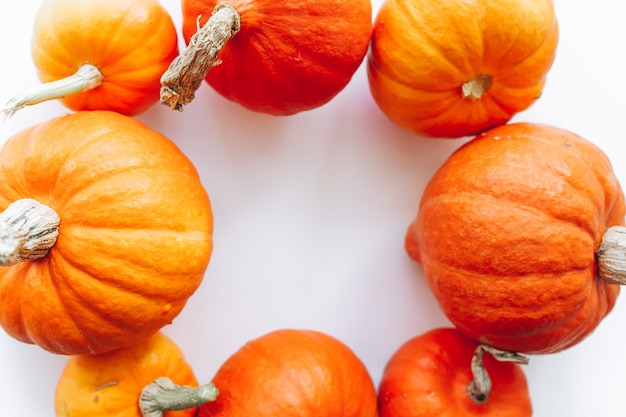 calabazas en el fondo blanco