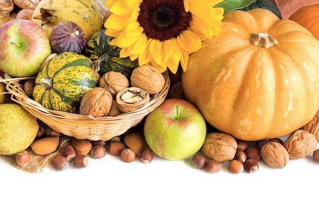 Calabazas y frutas en una canasta