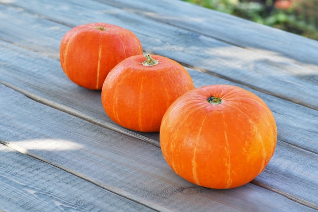 Calabazas de Halloween acostado sobre un piso de madera fuera