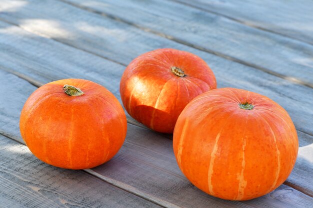 Calabazas de Halloween acostado sobre un piso de madera fuera